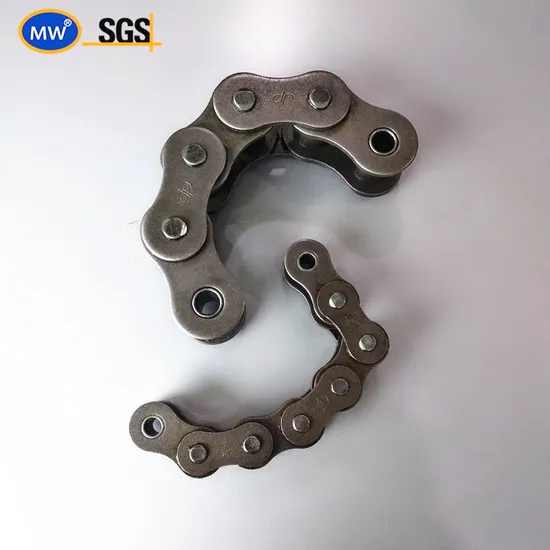American European Japanese Standard Stainless Steel Transmission Chain for Industrial Usage 