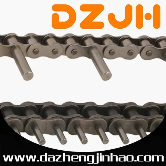 ANSI Roller Chains with Extended Bearing Pins 