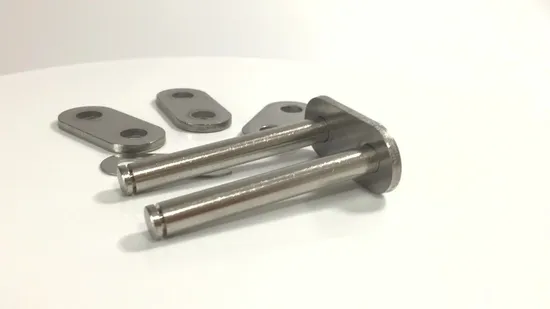 Shot Peening Surface Treatment Short Pitch Precision Transmission Roller Chain for Food Machinery 