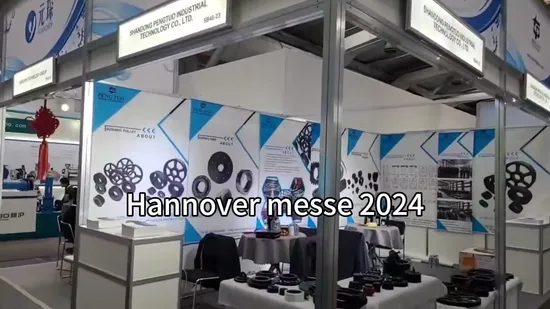 Cast Iron Flexible Shaft Gr HRC FCL Ml Sprocket Rigid Coupling 