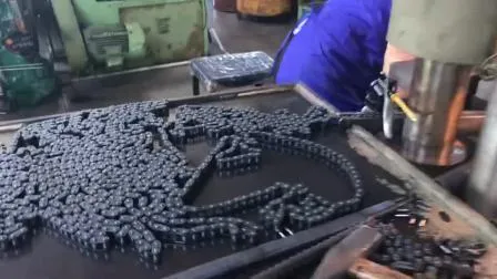 a/B Series Carbon Steel/Stainless Steel Roller Chain and Other Special Conveyor Chain 